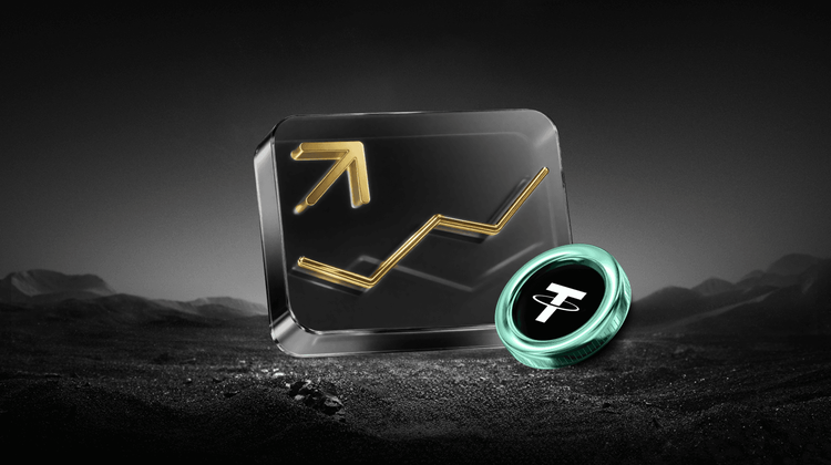 Fartcoin Price Forecast – Anticipation of a Fall to $ 0.269420 by December 22, 2025
