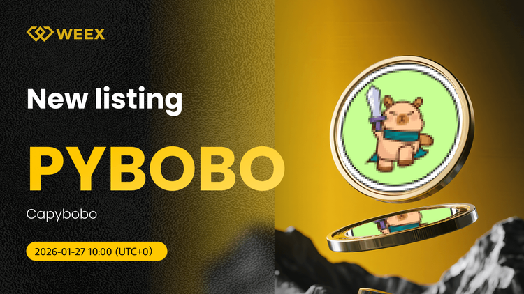PYBOBO USDT 现已上线：Capybobo (PYBOBO) 币在 WEEX 上线