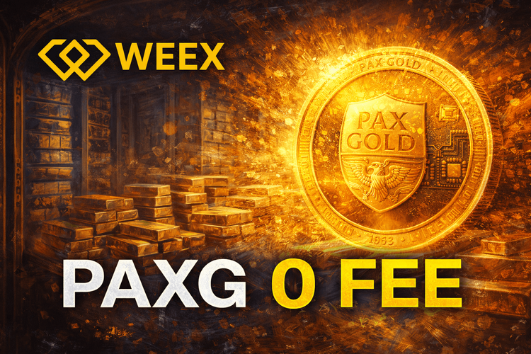 PAXG & WEEX 零费率黄金合约:PAXG 实盘交易指南(2026年版)