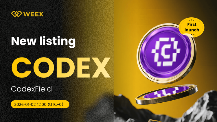 CODEX USDT 现在WEEX现货： 交易代码字段(CODEX)硬币
