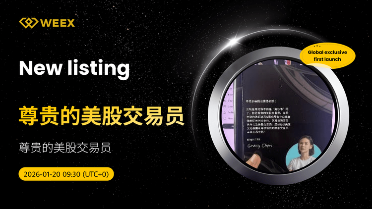 全球独家首发：尊贵的美股交易员USDT交易上线WEEX交易所