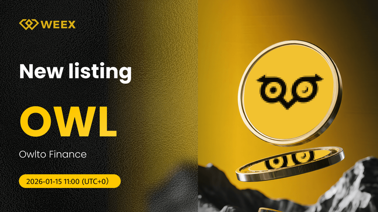 OWL USDT上线：Owlto Finance已在WEEX交易所上市