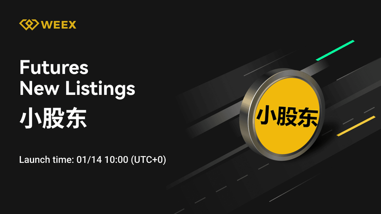 WEEX上线小股东USDT:小股东永续合约