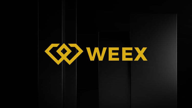 WEEX每周亮点：市场趋势与活动回顾（2024年12月20日 - 12月27日）
