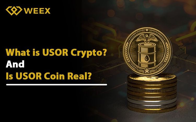 USOR:现实与虚构之间